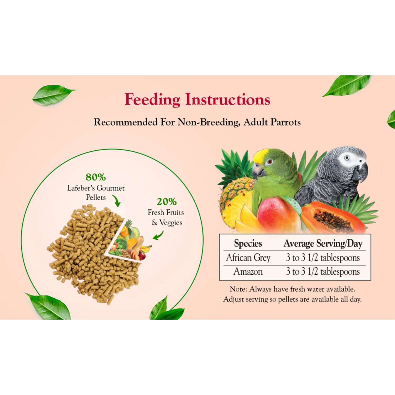 Lafeber Tropical Fruit Gourmet Pellets Parrot Bird Food 4-lb - Image 11