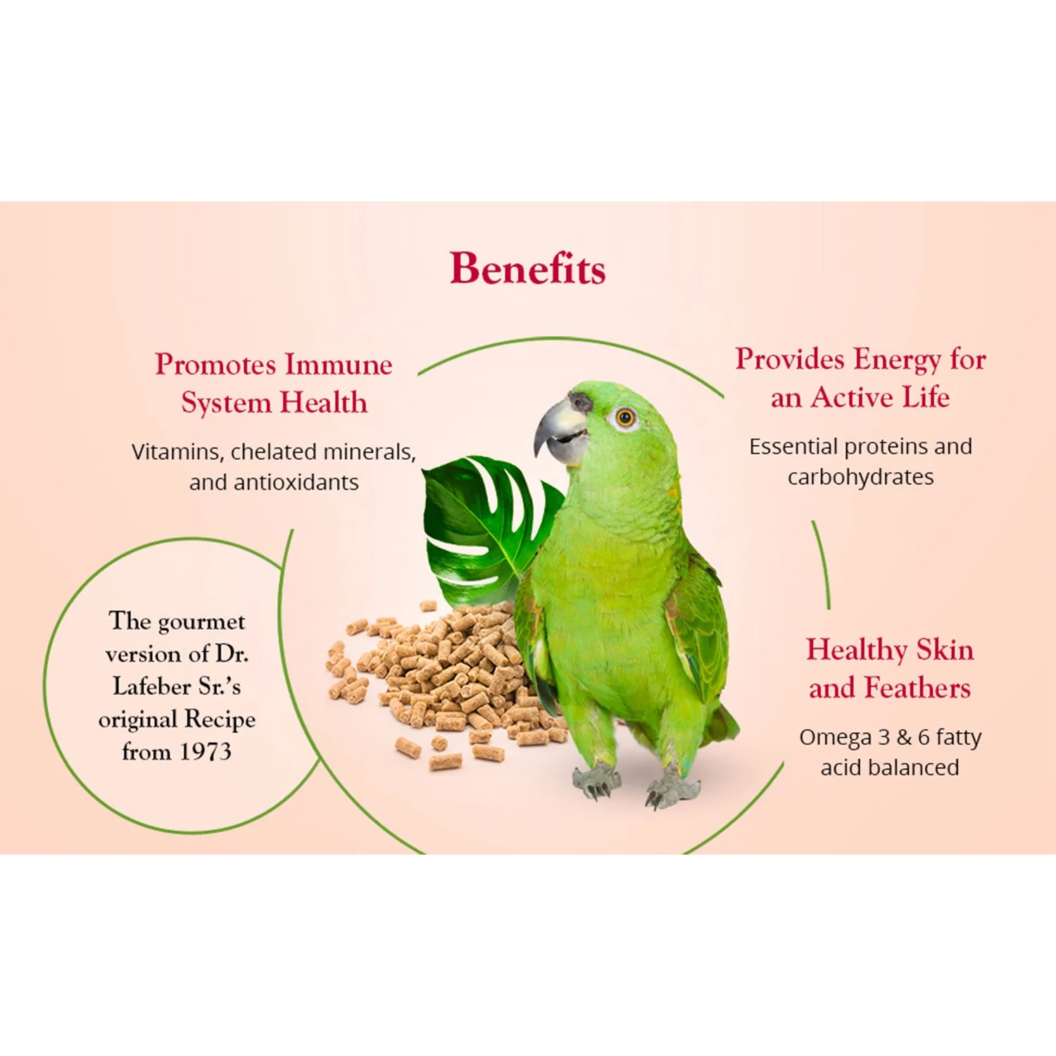 Lafeber Tropical Fruit Gourmet Pellets Parrot Bird Food 4-lb - Image 4