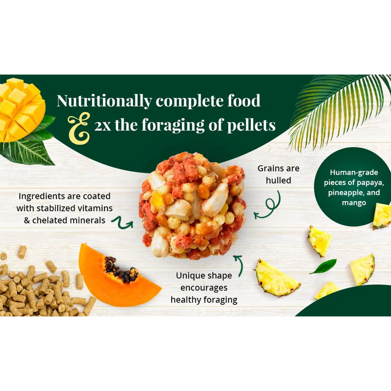 Lafeber Tropical Fruit Nutri-Berries Macaw & Cockatoo Bird Food 3-lb - Image 6