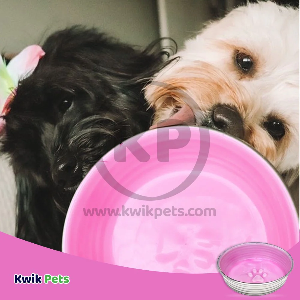 Loving Pets Le Bol Dog Bowl Rose Small - Image 4