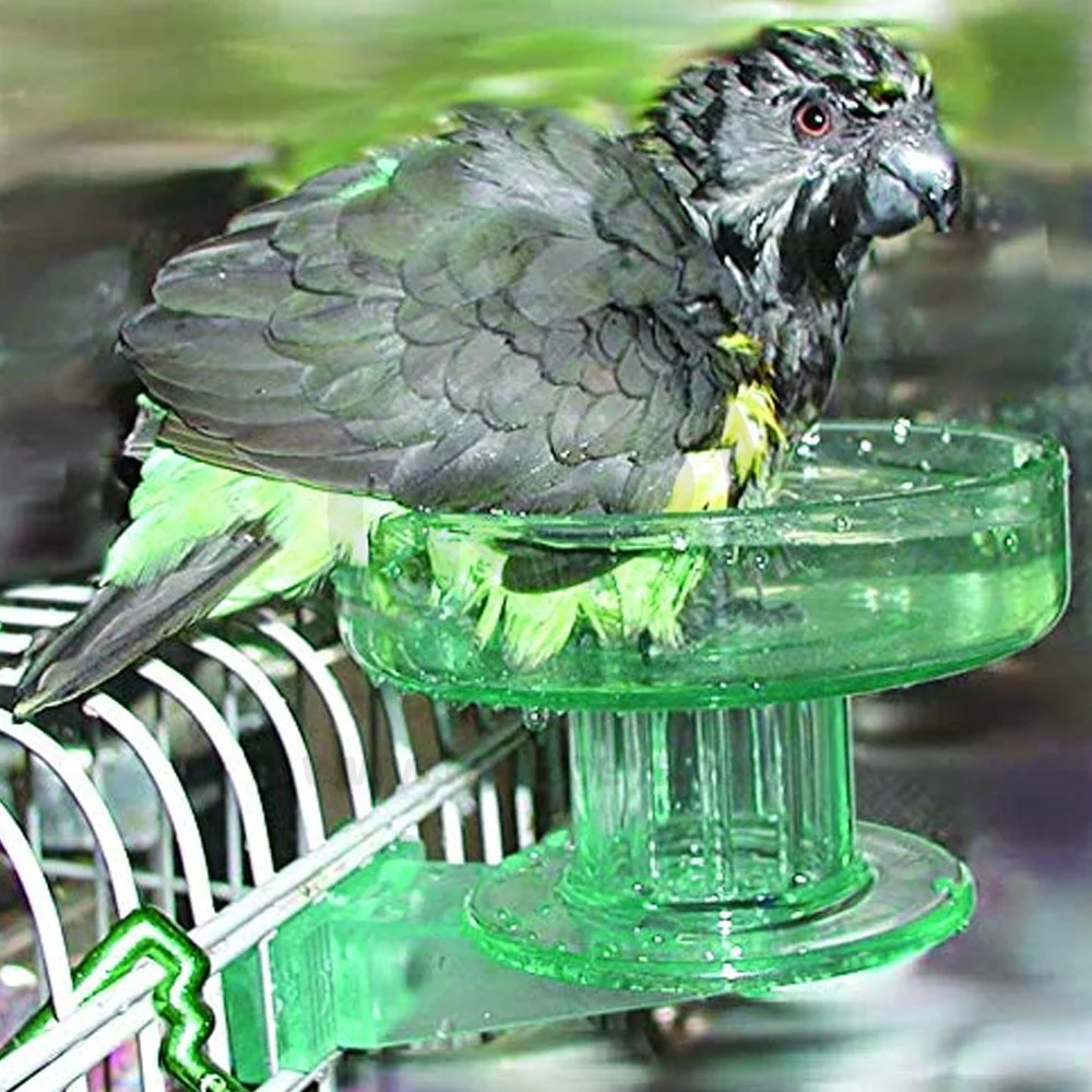 Lixit Quick Lock Bird Bath Green One Size - Image 6
