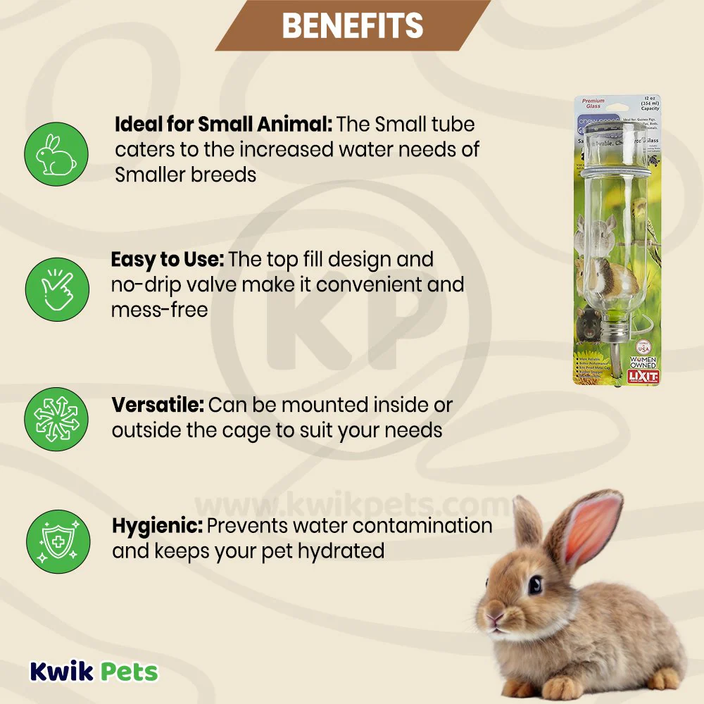 Lixit Chew Proof Glass Bottle for Small Animals Clear 12-oz - Image 3
