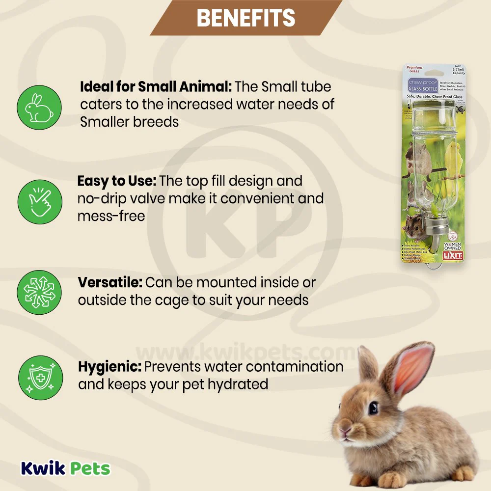 Lixit Chew Proof Glass Bottle for Small Animals Clear 6-oz - Image 3