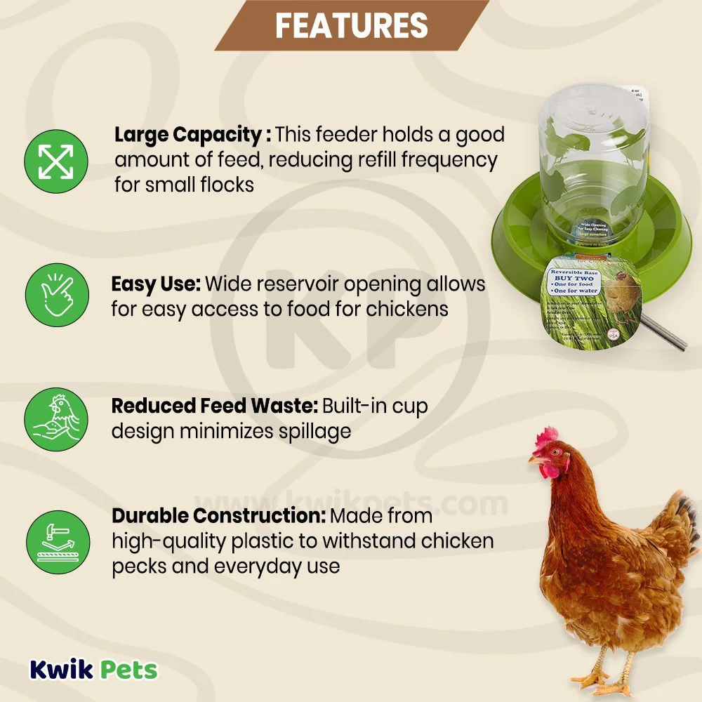 Lixit Chicken Feeder Clear Green 64-oz - Image 2