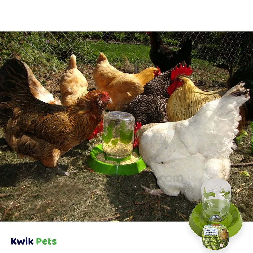Lixit Chicken Feeder Clear Green 64-oz - Image 5