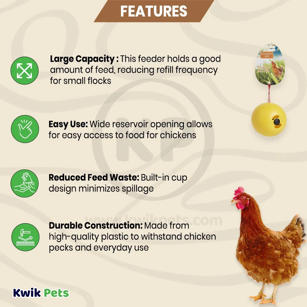 Lixit Chicken Toy Yellow One Size - Image 3