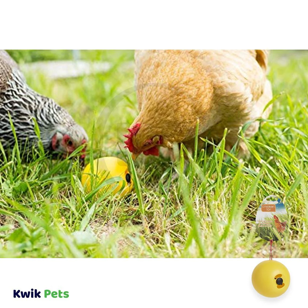 Lixit Chicken Toy Yellow One Size - Image 6