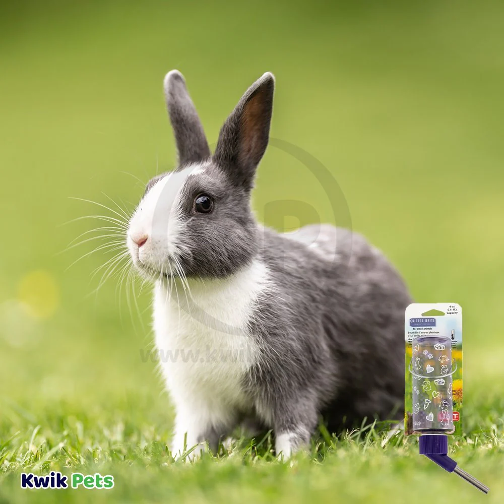 Lixit Clear Water Bottle for Small Animals 4-oz - Image 5
