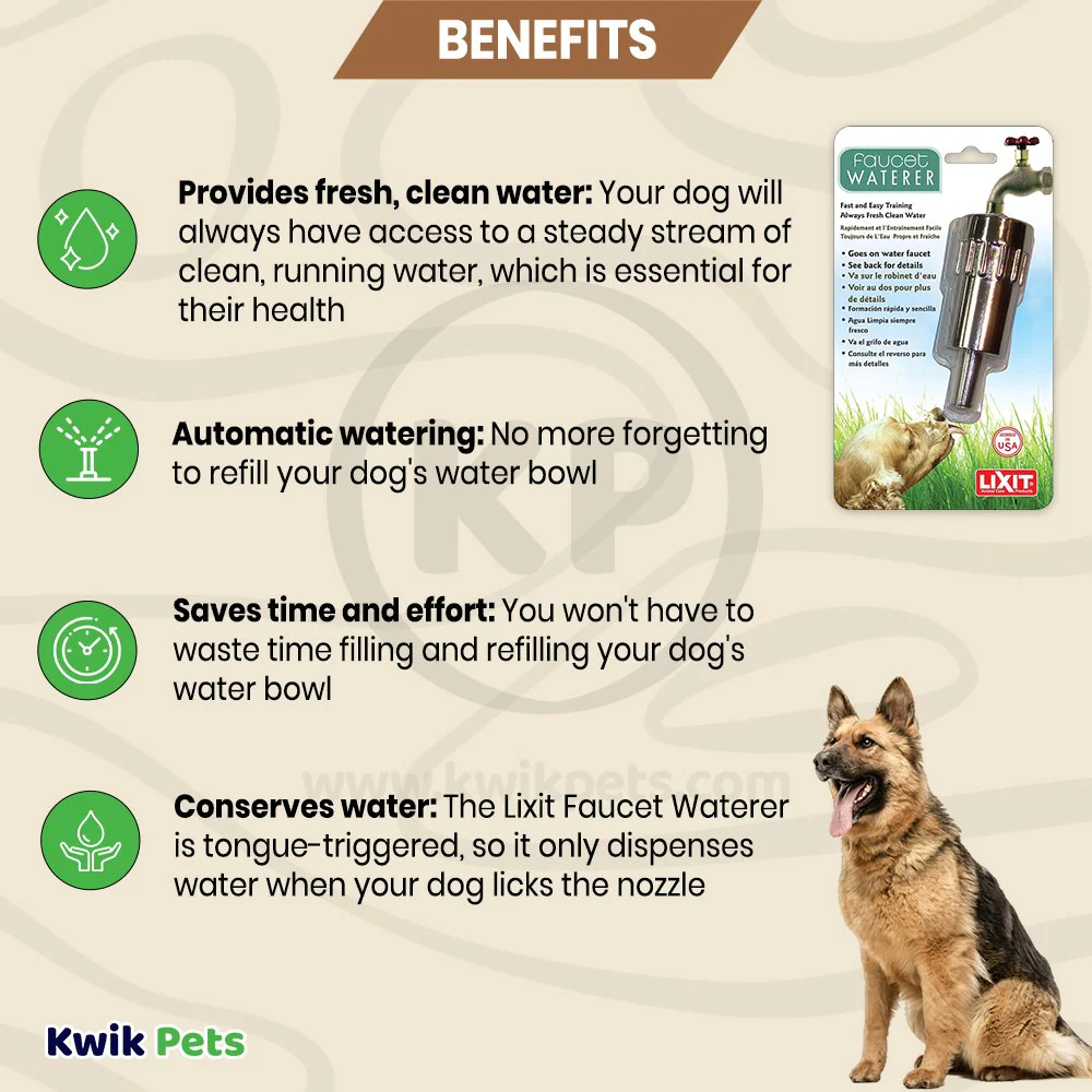 Lixit Dog Faucet Waterer Silver - Image 3