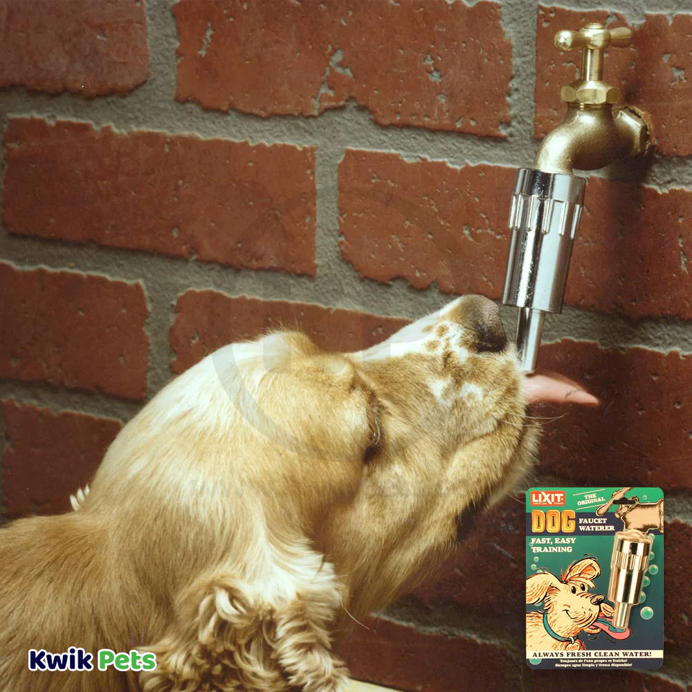 Lixit Dog Faucet Waterer Silver - Image 5