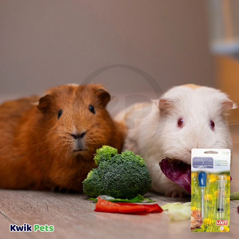 Lixit Dropper & Syringe Combo for Baby Animals - Image 5