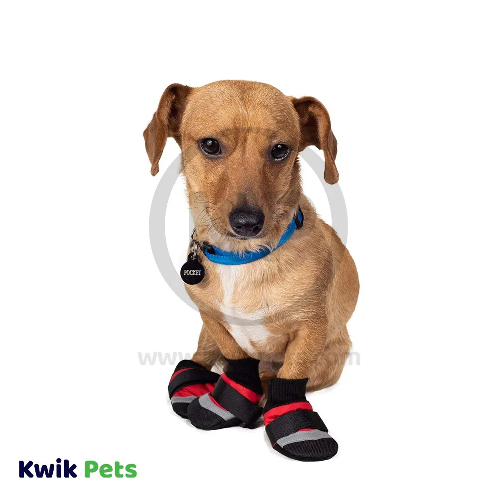 Fashion Pet Extreme All Weather Boots Red/Black XXS - Image 4