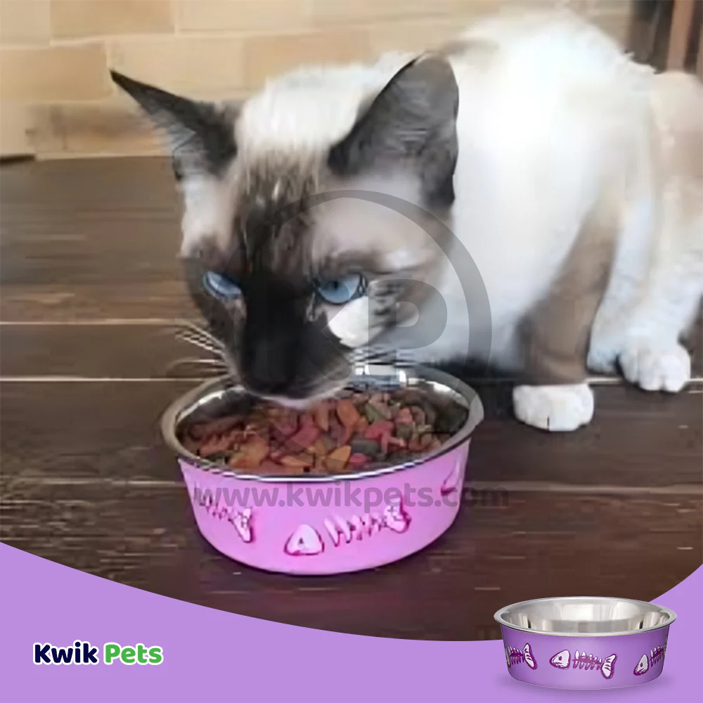 Loving Pets Bella Designer Fish Skeleton Cat Bowl Lilac X-Small - Image 4