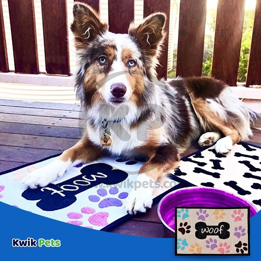 Loving Pets Multicolor Fashion Mat Woof with Multi Paws - Image 4