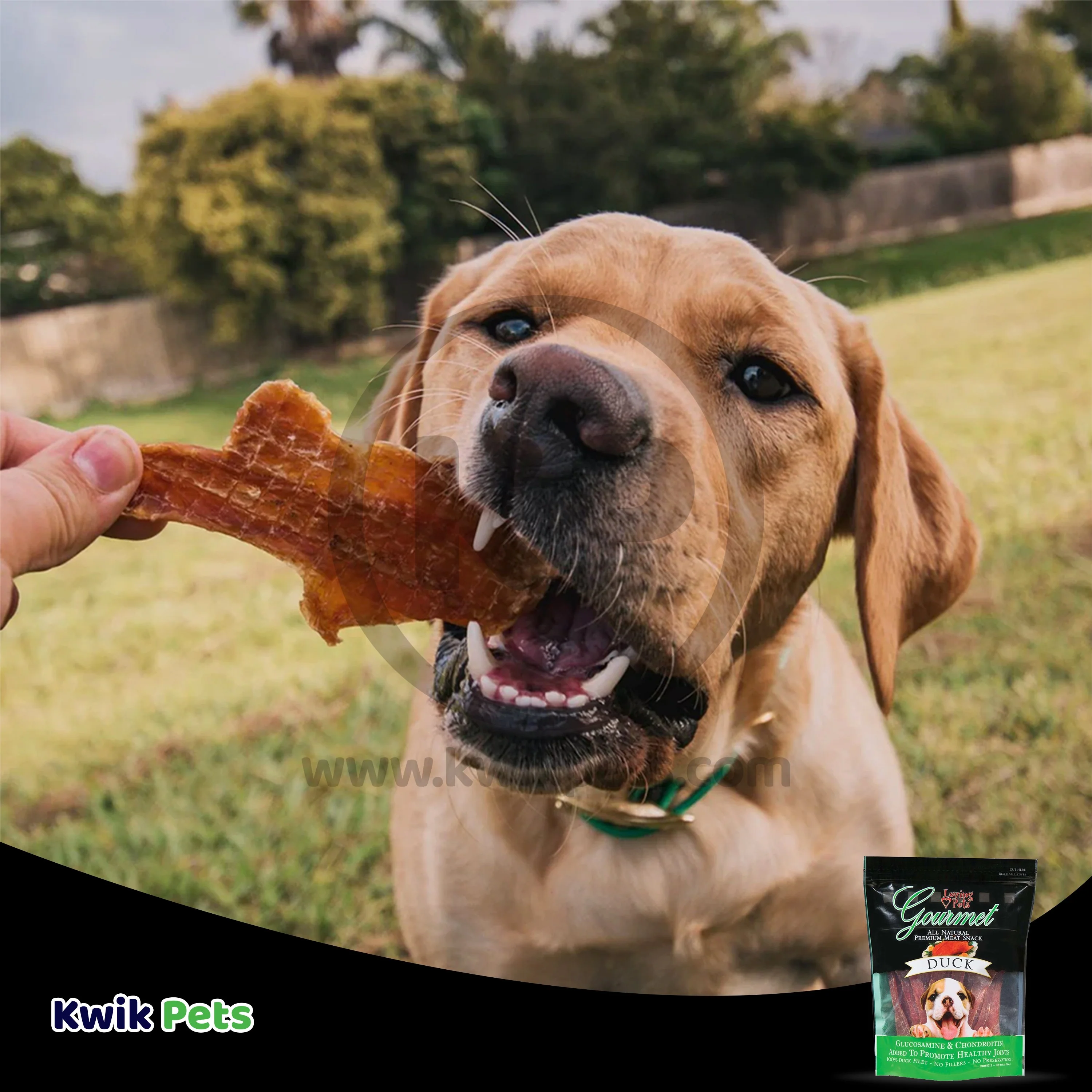 Loving Pets Gourmet Duck Filet Strips Dog Treats 6-oz - Image 6