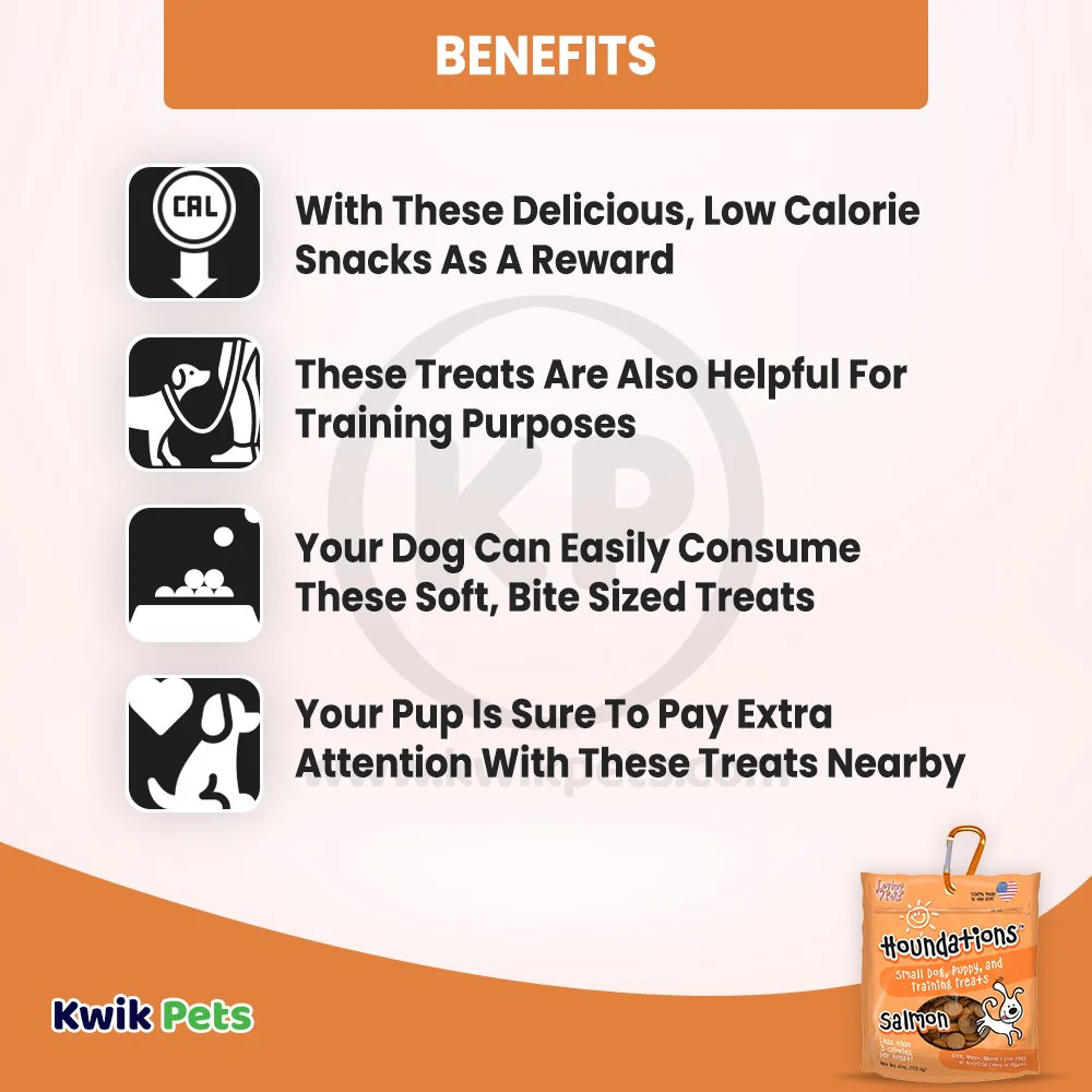 Loving Pets Houndations Small Dog & Puppy Training Treats Salmon 4-oz - Image 4