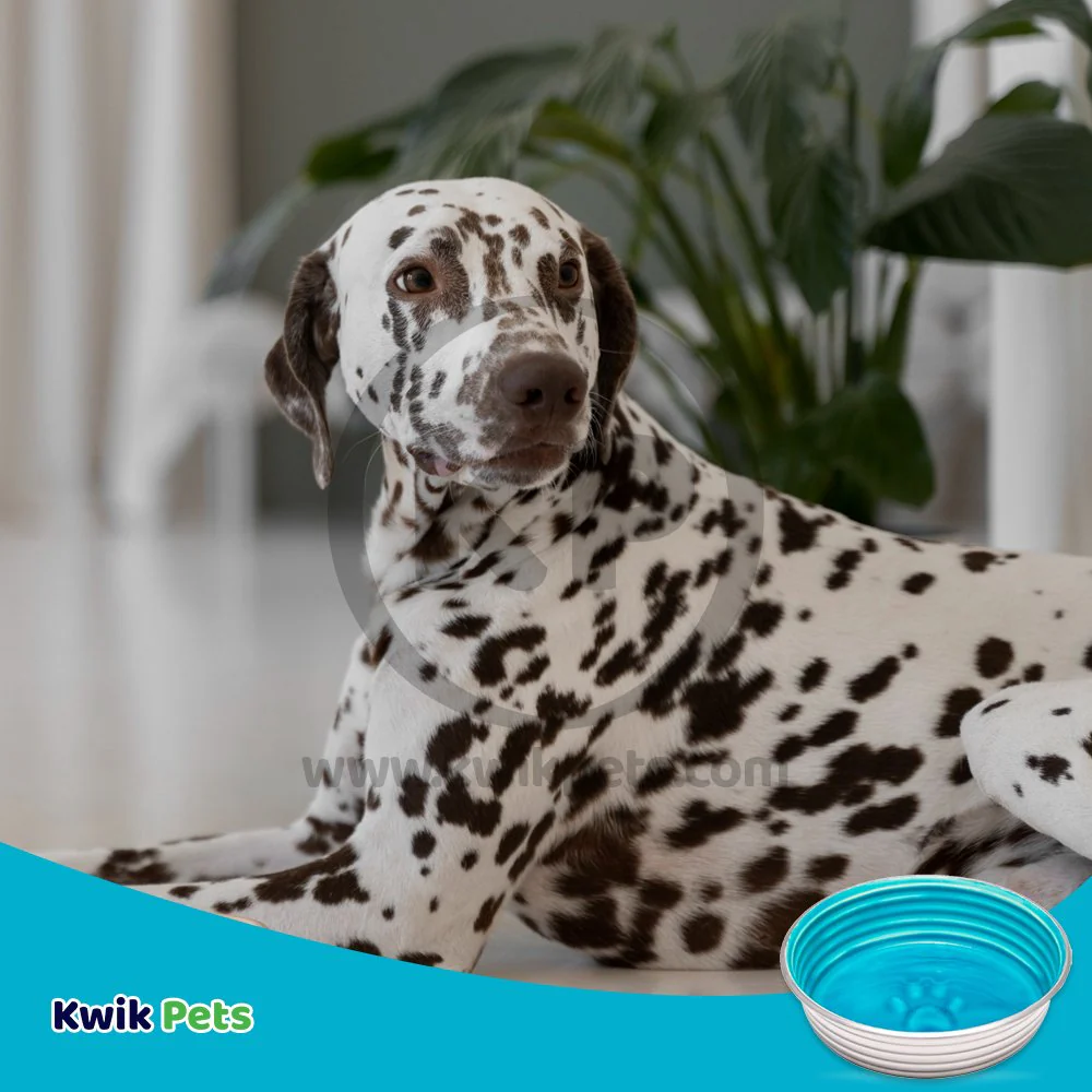 Loving Pets Le Bol Dog Bowl Seine Blue Medium - Image 4
