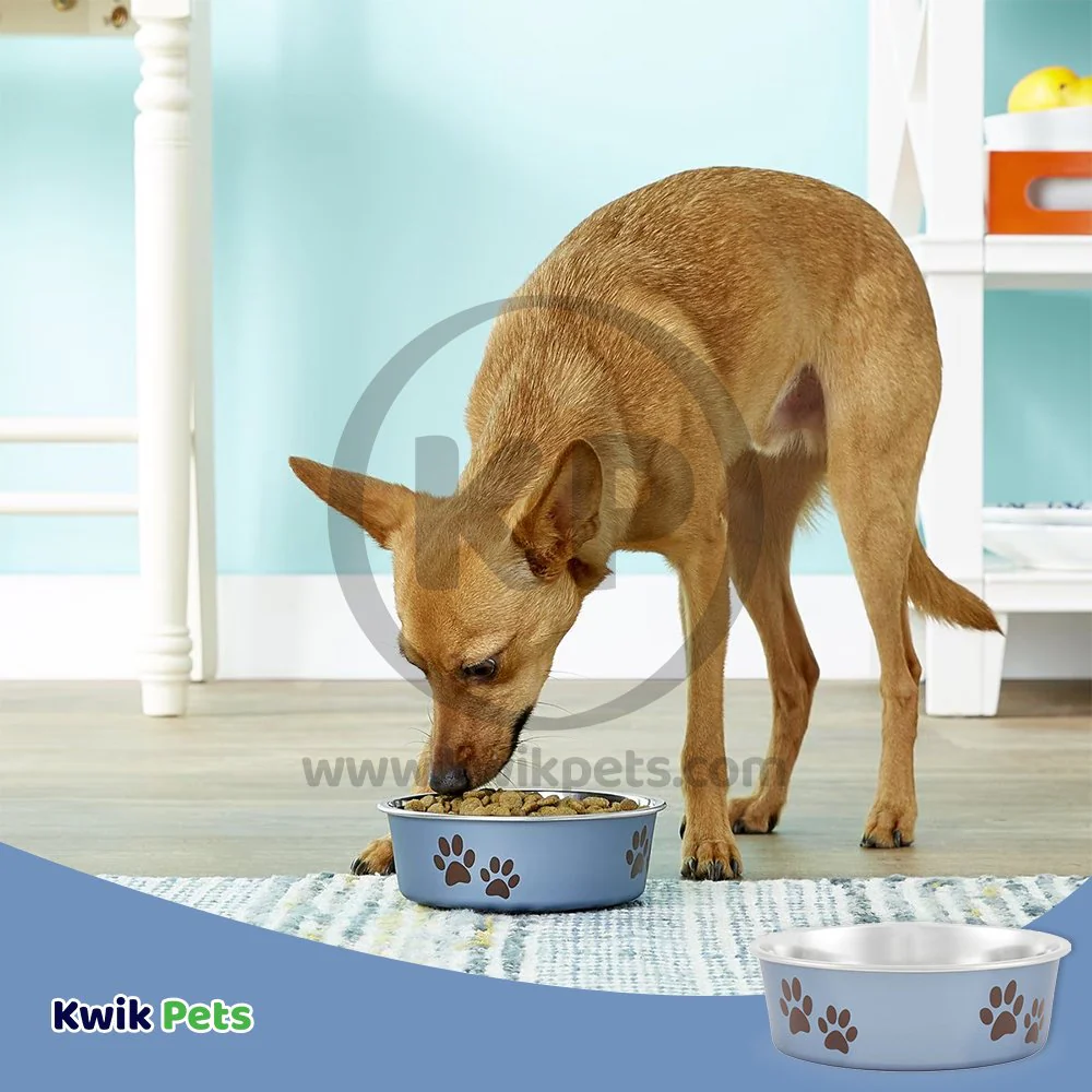 Loving Pets Metallic Dog Bowl Blueberry Small - Image 5