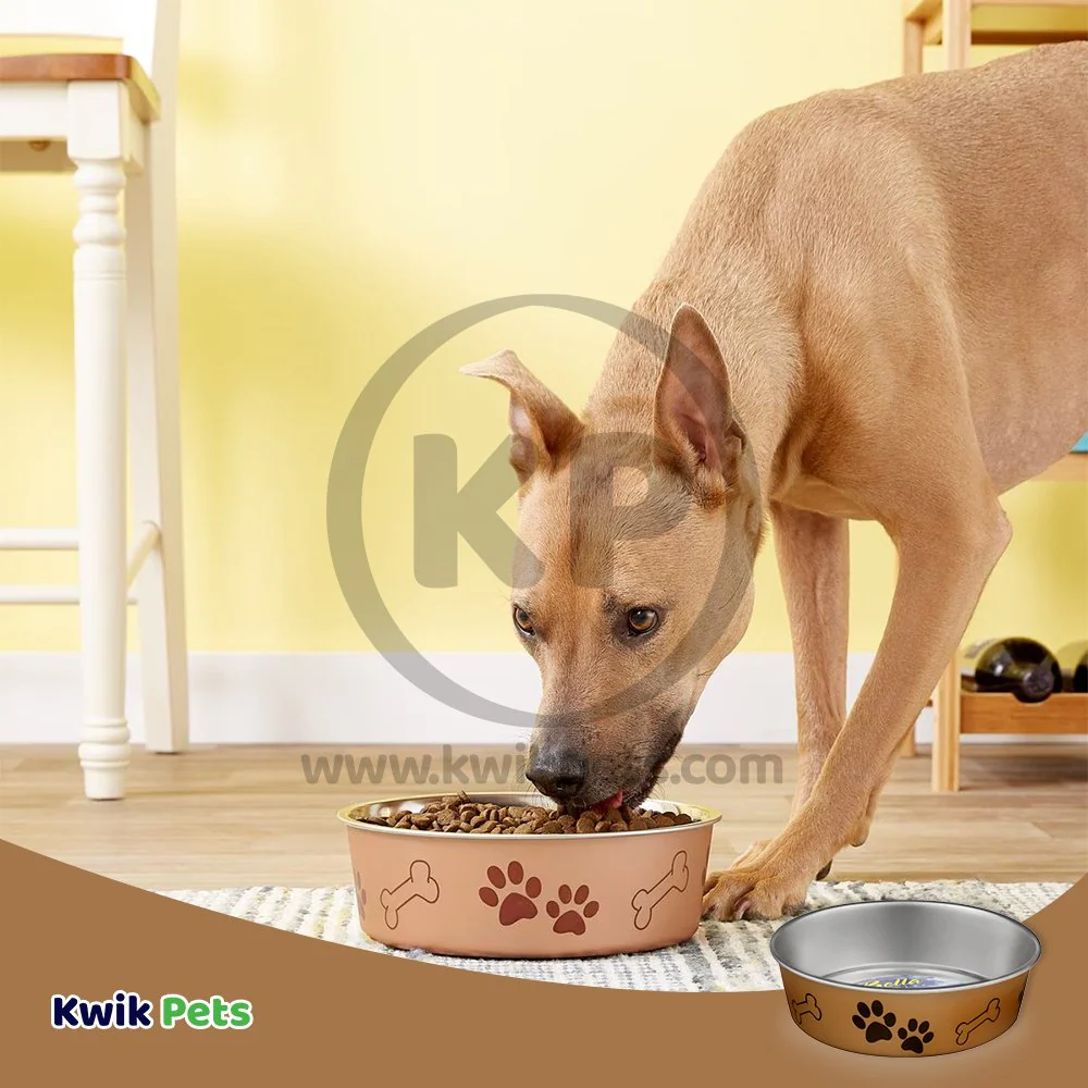 Loving Pets Metallic Dog Bowl Champagne Medium - Image 5