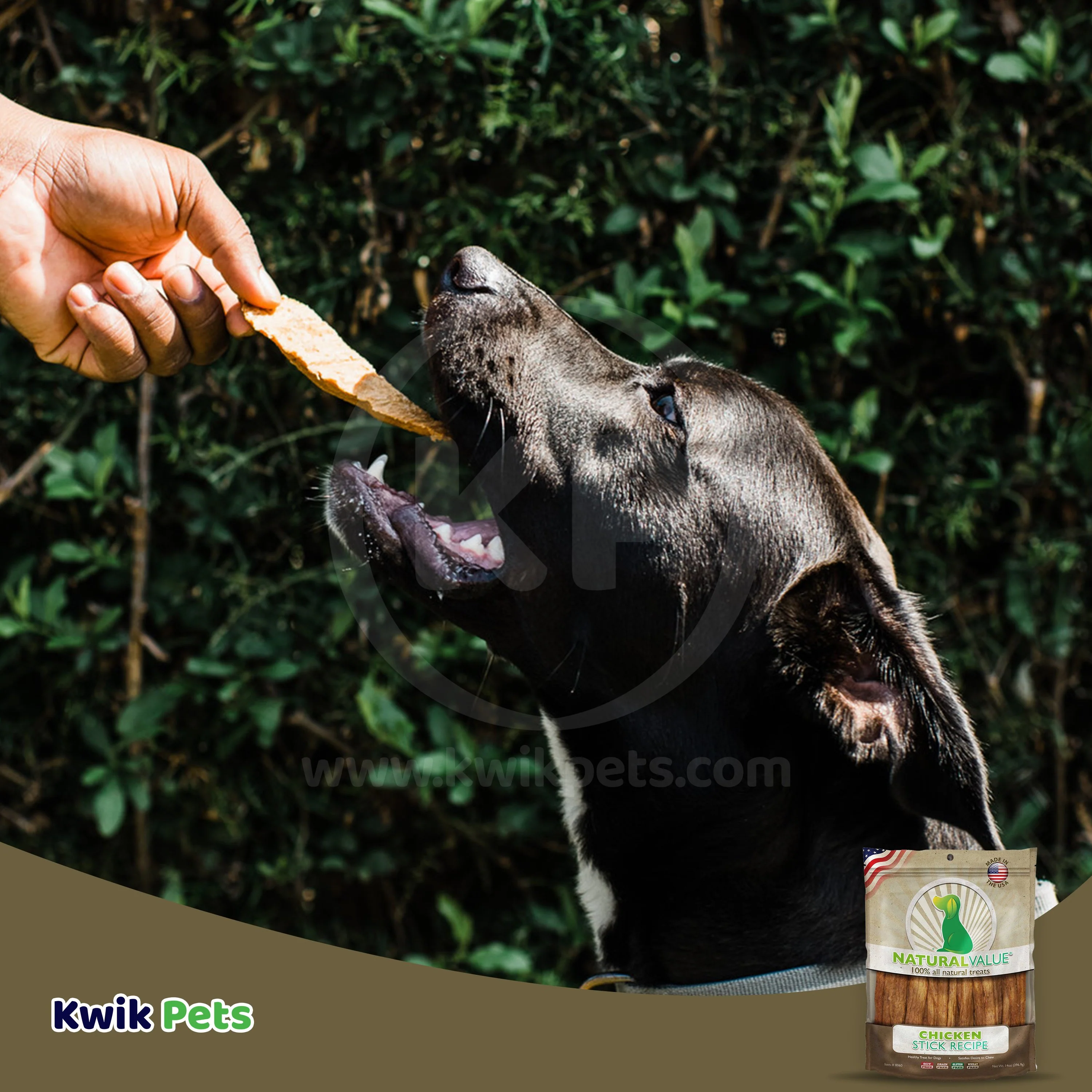 Loving Pets Natural Value Chicken Sticks Dog Treat 14-oz - Image 6