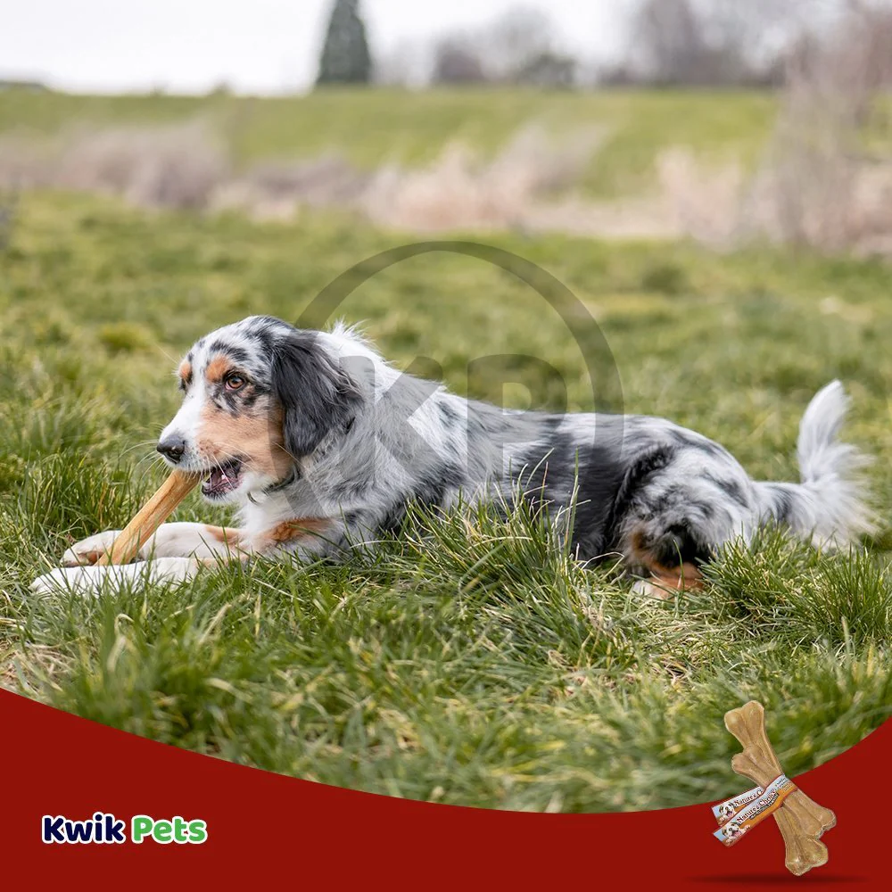 Loving Pets Pressed Rawhide Bone Dog Treat 8-in - Image 5