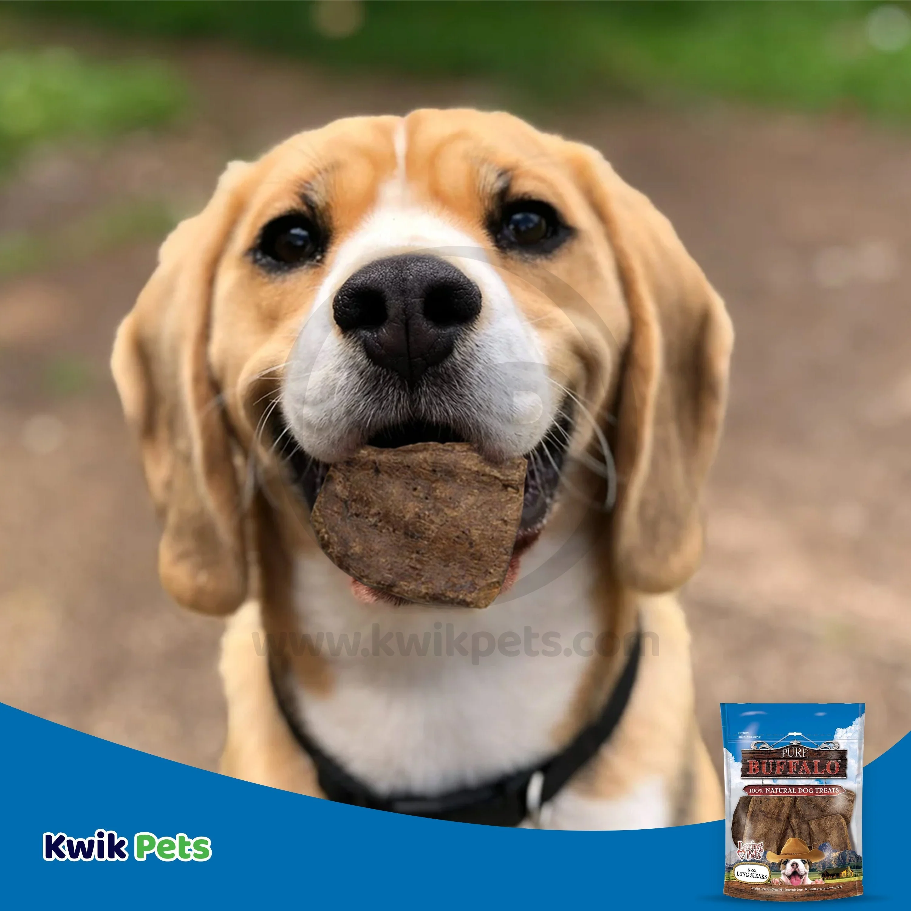 Loving Pets Pure Buffalo Lung Steaks Dog Treat 4-oz - Image 5