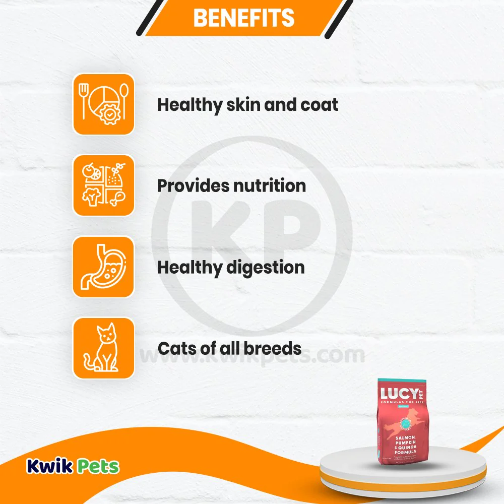 Lucy Pet Products Formula for Life L.I.D. Dry Dog Food Salmon Pumpkin & Quinoa 4.5-lb - Image 4