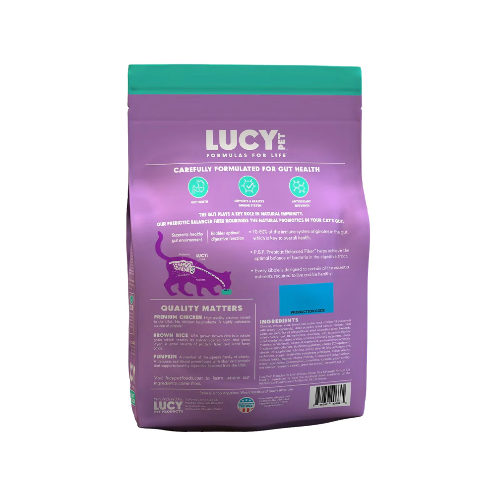 Lucy Pet Products Formulas for Life Dry Cat Food Chicken Brown Rice & Pumpkin 4-lb - Image 2