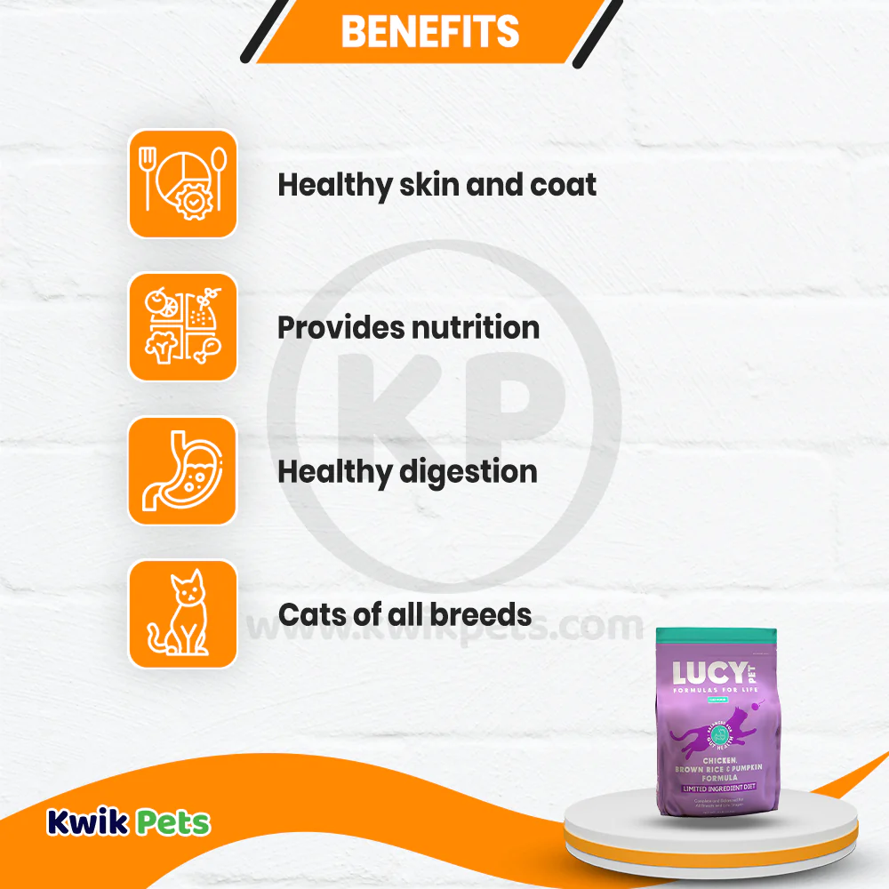 Lucy Pet Products Formulas for Life Dry Cat Food Chicken Brown Rice & Pumpkin 4-lb - Image 4
