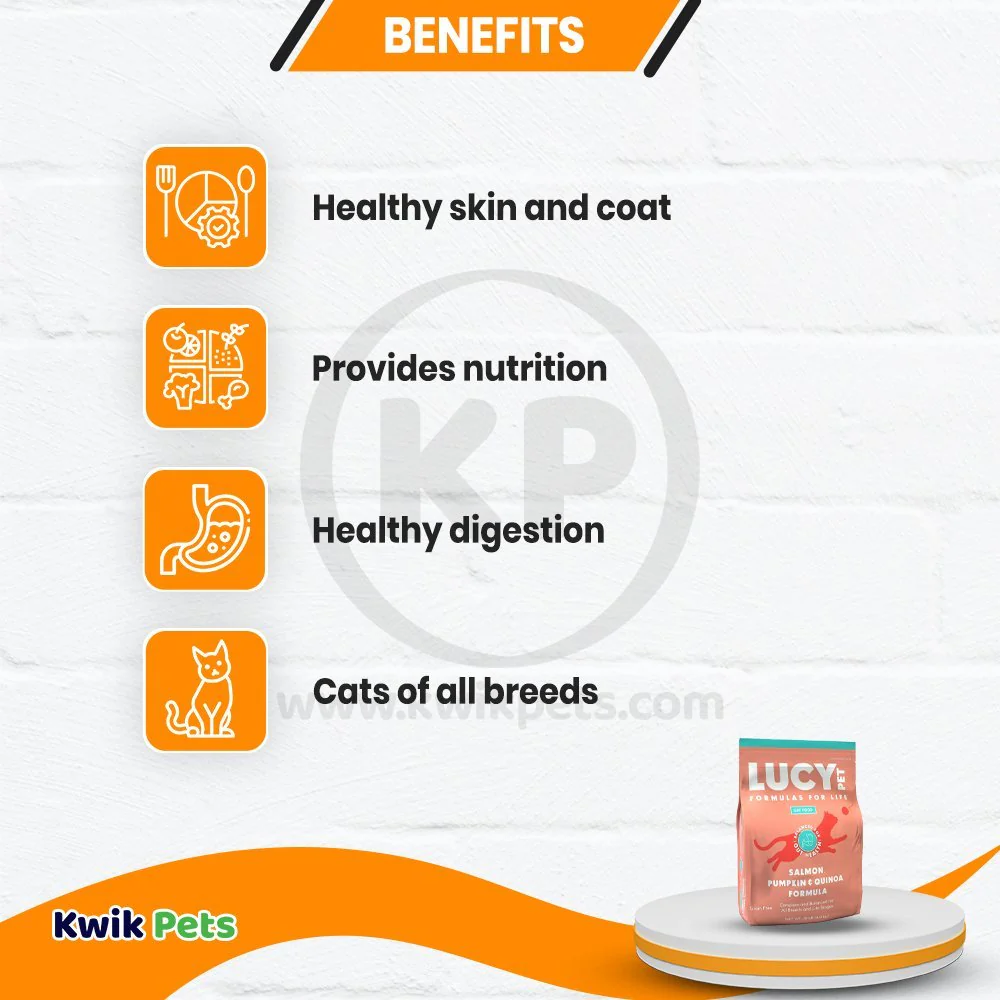 Lucy Pet Products Formulas for Life Dry Cat Food Salmon Pumpkin & Quinoa 4-lb - Image 3