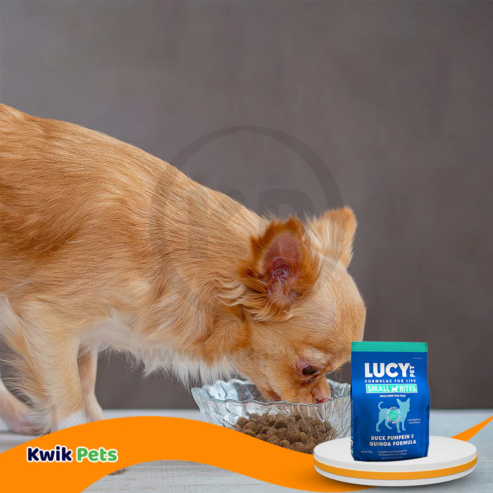 Lucy Pet Products Grain-Free Small Bites Small Breed Dry Dog Food Duck, Pumpkin & Quinoa 4.5-lb - Image 6