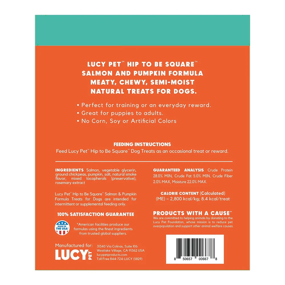 Lucy Pet Products Hip to Be Square Limited Ingredient Dog Treats Salmon & Pumpkin 6-oz - Image 2