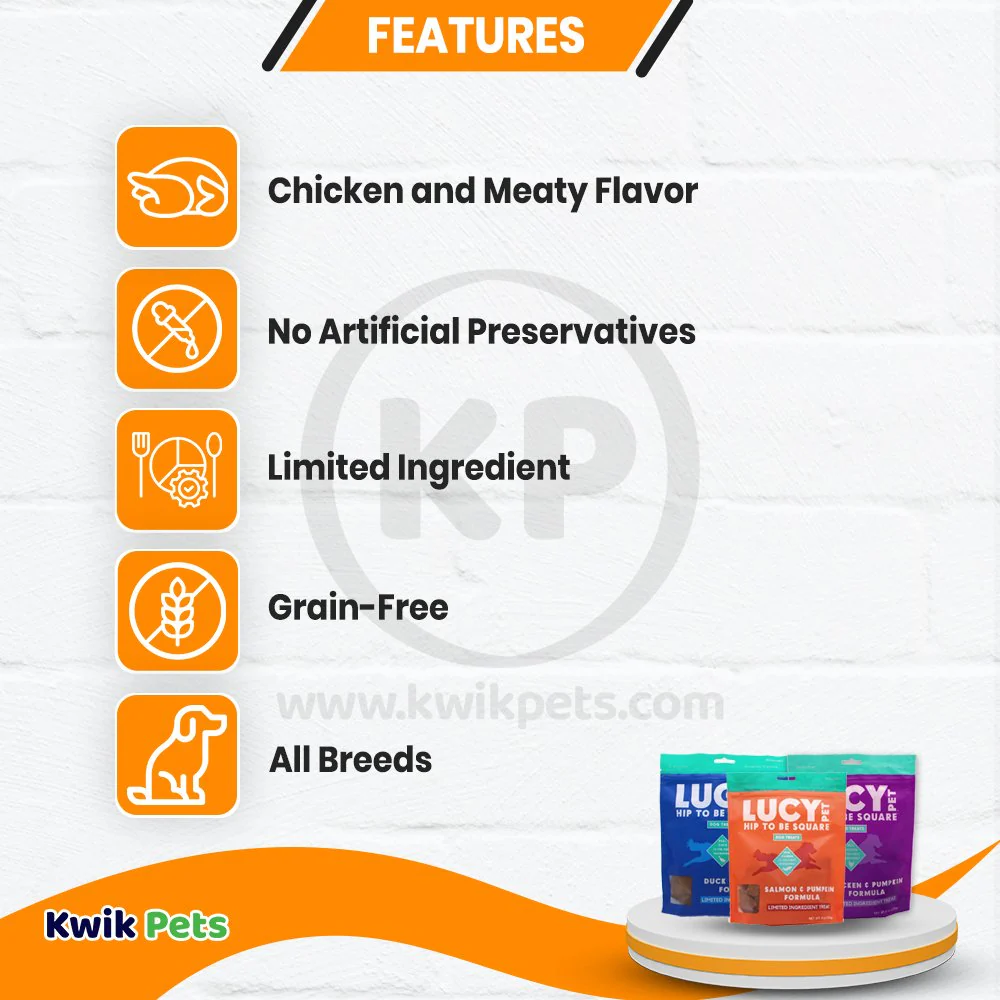 Lucy Pet Products Hip to Be Square Limited Ingredient Dog Treats Salmon & Pumpkin 6-oz - Image 3