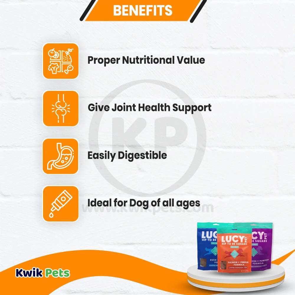 Lucy Pet Products Hip to Be Square Limited Ingredient Dog Treats Salmon & Pumpkin 6-oz - Image 4