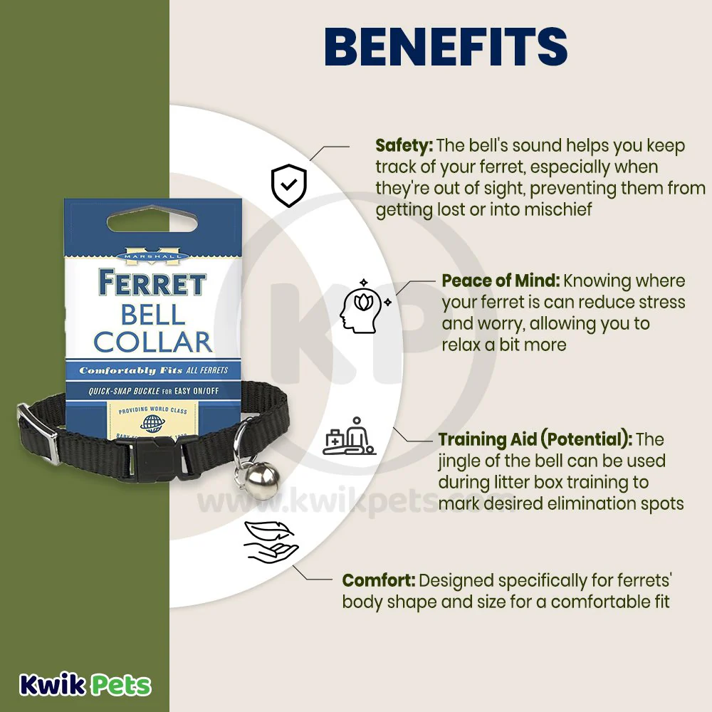 Marshall Pet Products Ferret Bell Collar Black 3/8-in - Image 4