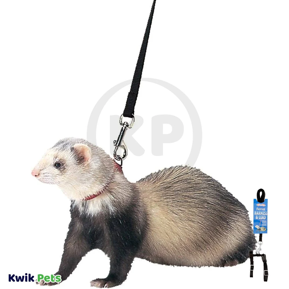 Marshall Pet Products Ferret Harness & Lead Set Black - Image 5