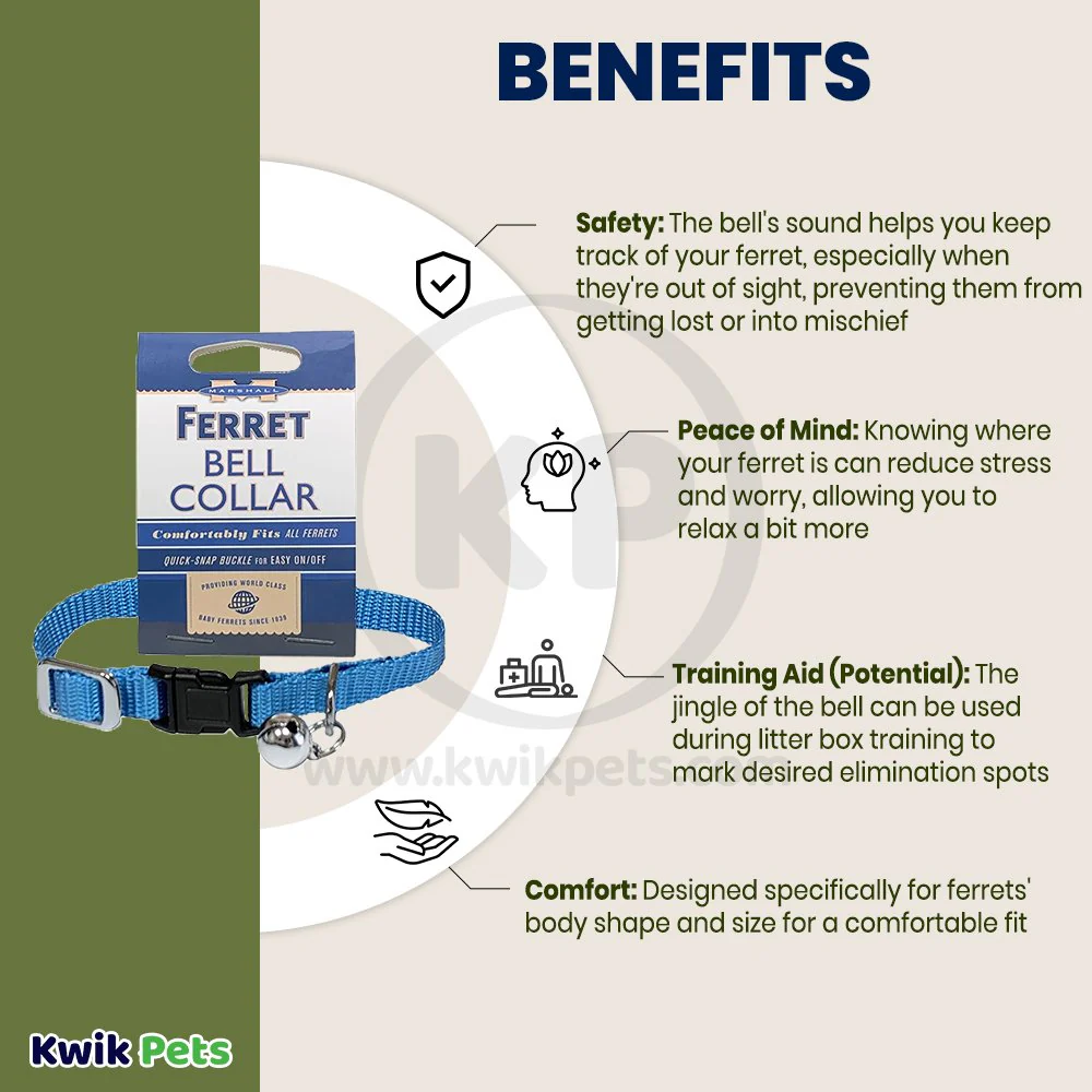 Marshall Pet Products Ferret Bell Collar Blue 3/8-in - Image 3