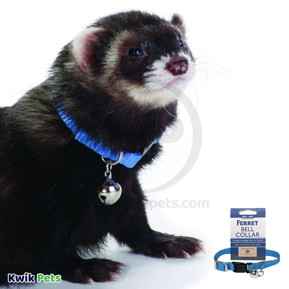 Marshall Pet Products Ferret Bell Collar Blue 3/8-in - Image 5