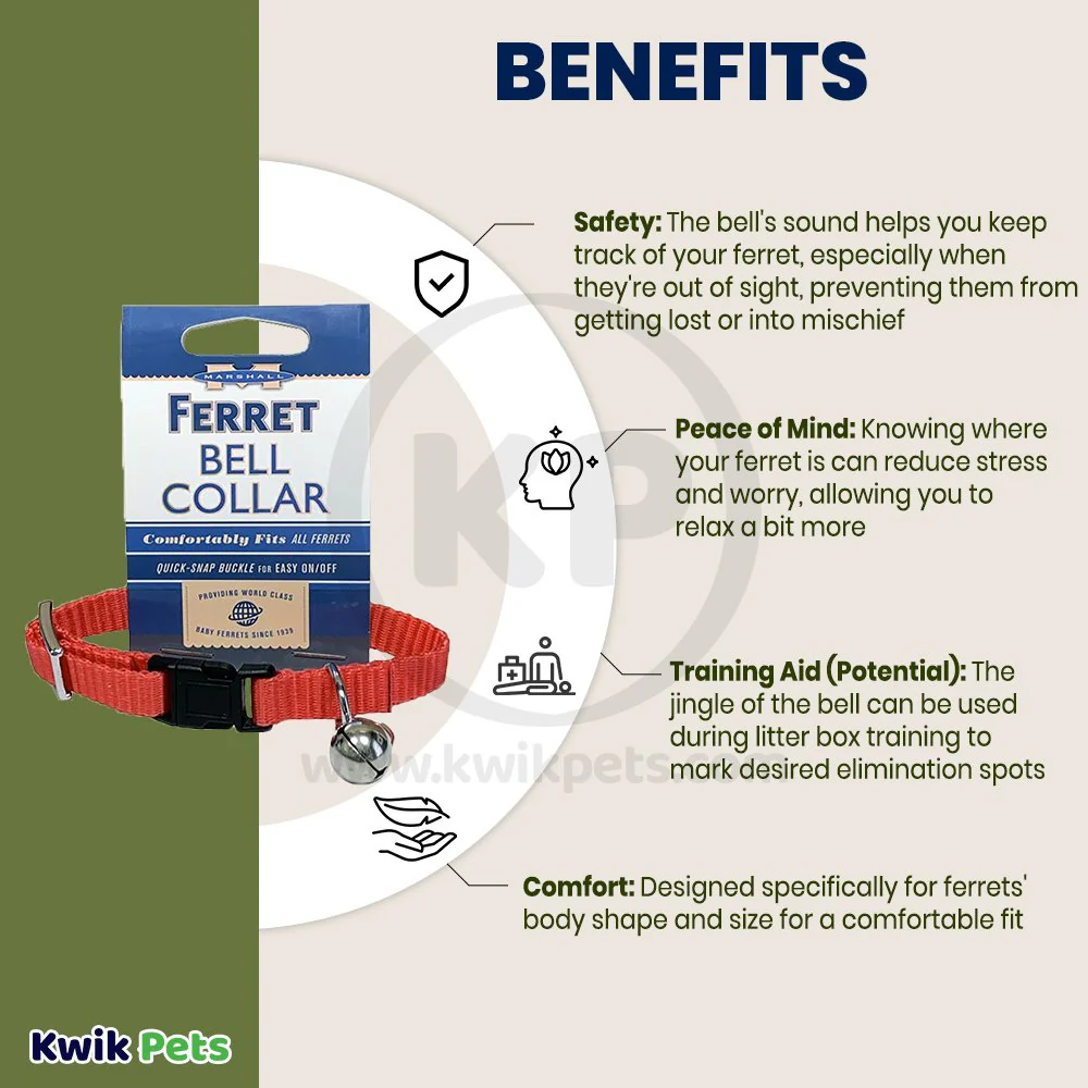 Marshall Pet Products Ferret Bell Collar Red 3/8-in - Image 3