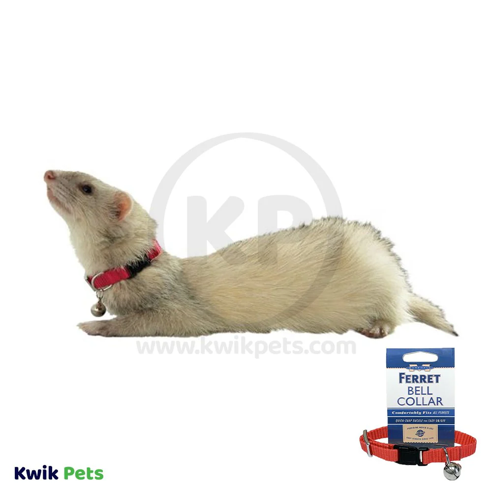Marshall Pet Products Ferret Bell Collar Red 3/8-in - Image 5