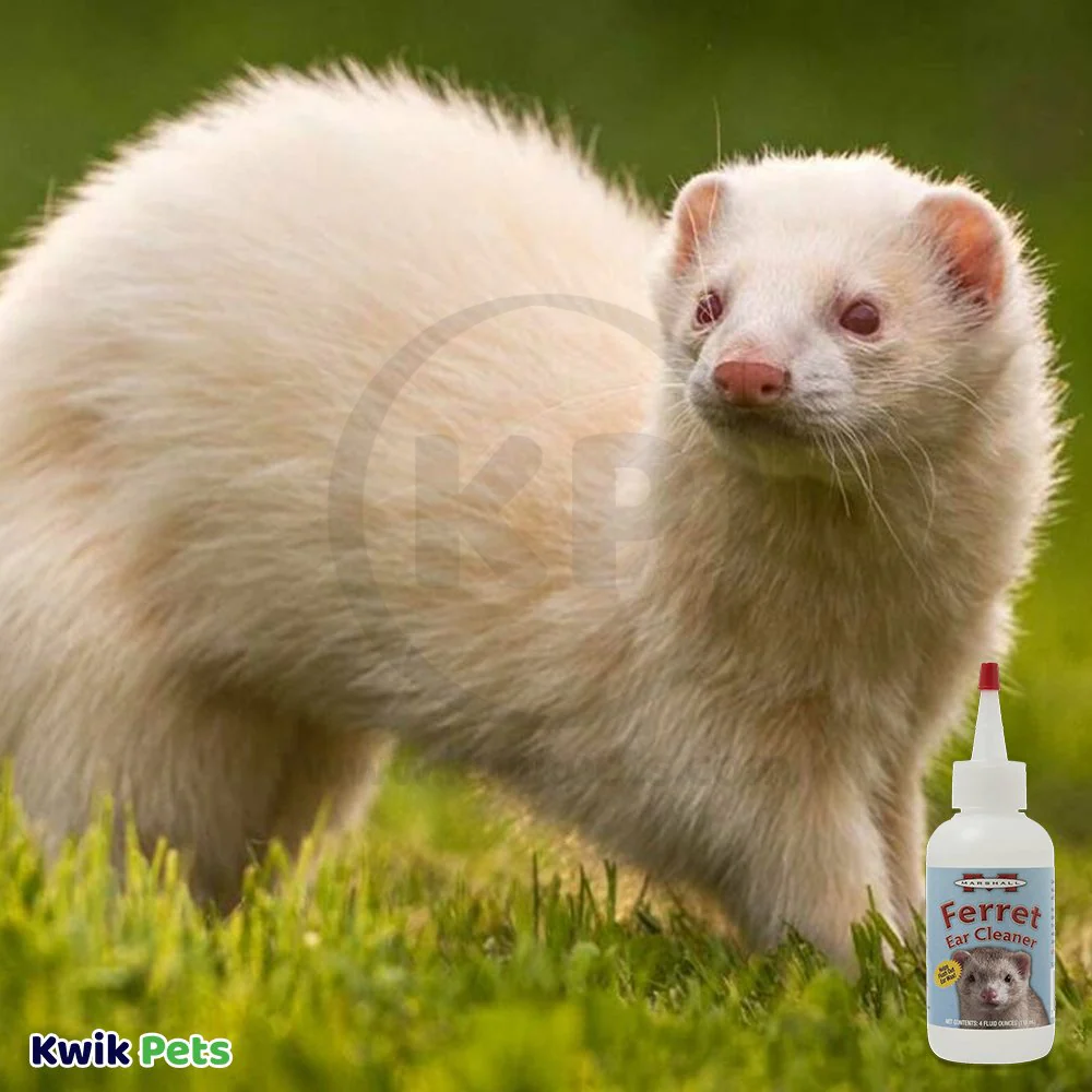 Marshall Pet Products Ferret Ear Cleaner 4-oz - Image 6