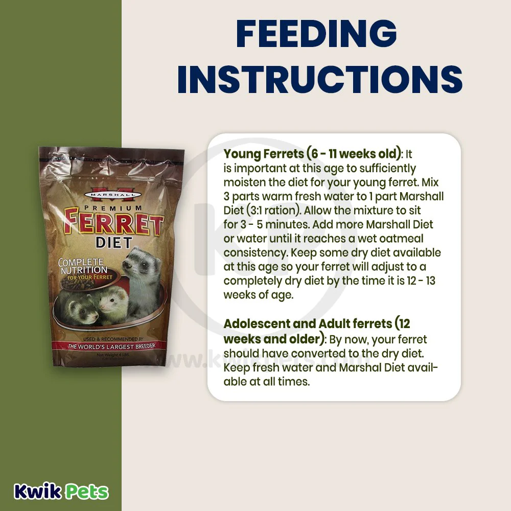 Marshall Pet Products Premium Ferret Diet Dry Food 4-lb - Image 6