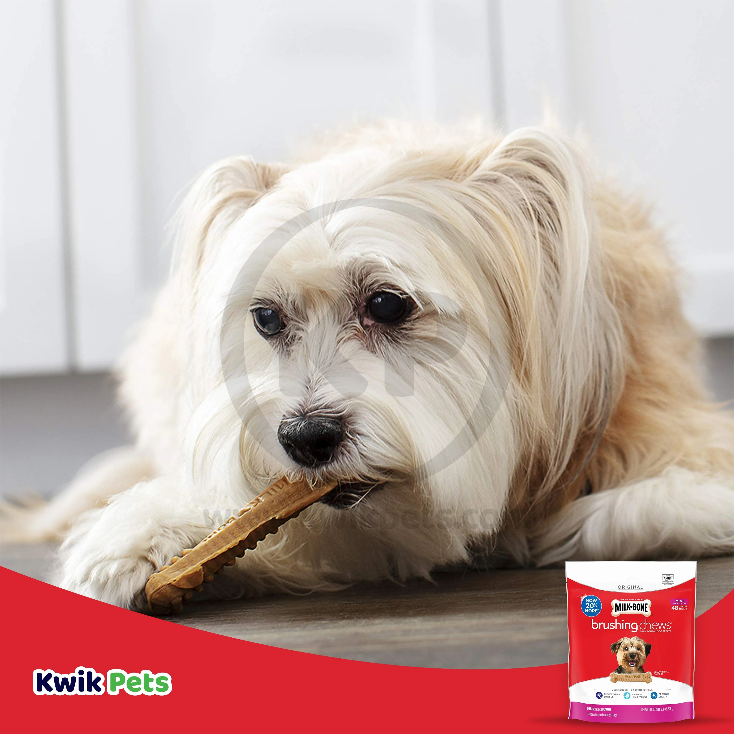 Milk-Bone Brushing Chews Dental Dog Treat Original Extra Small 5-24 lbs 48 Count 18.9-oz - Image 7
