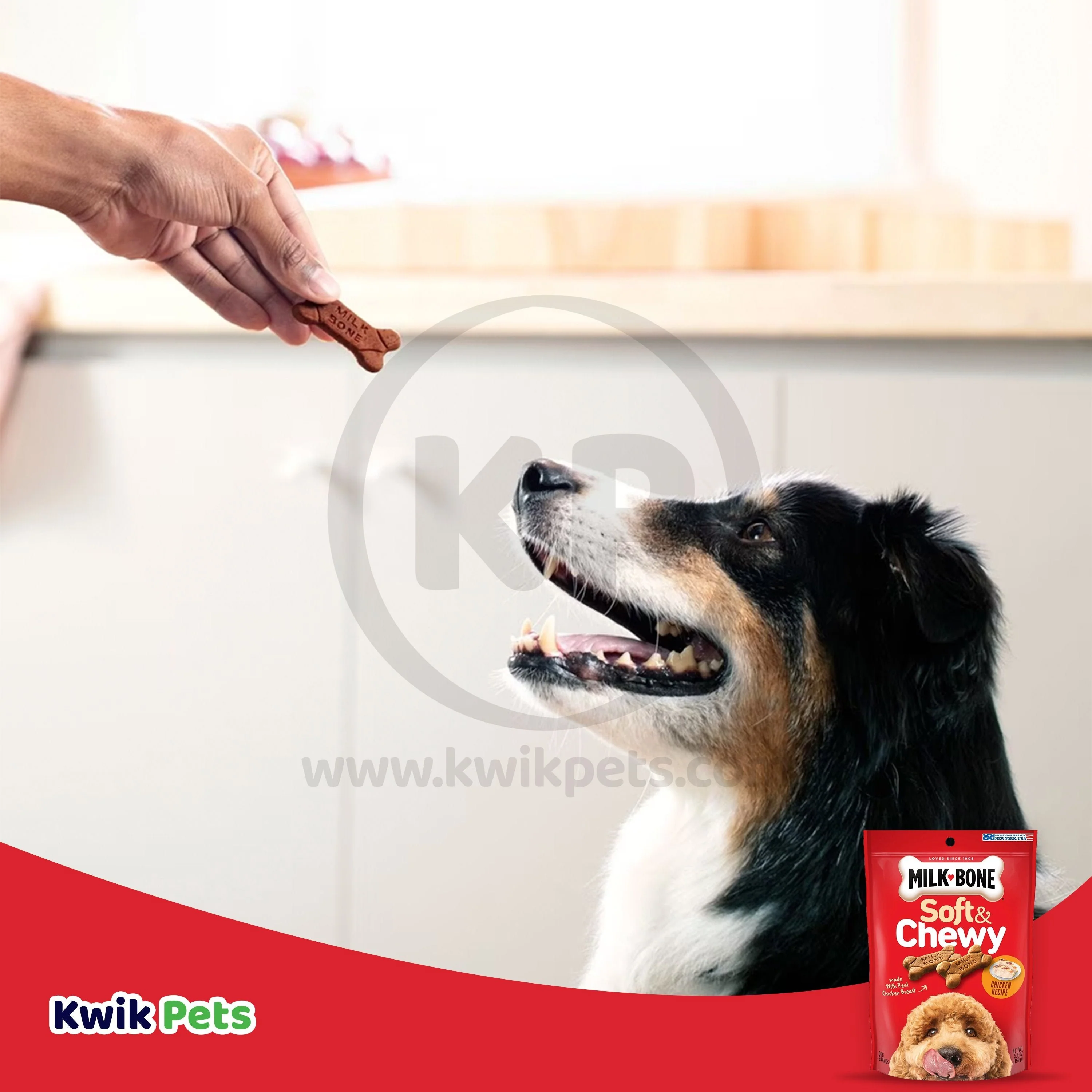 Milk-Bone Soft & Chewy Chicken Dog Treats 5.6-oz - Image 7