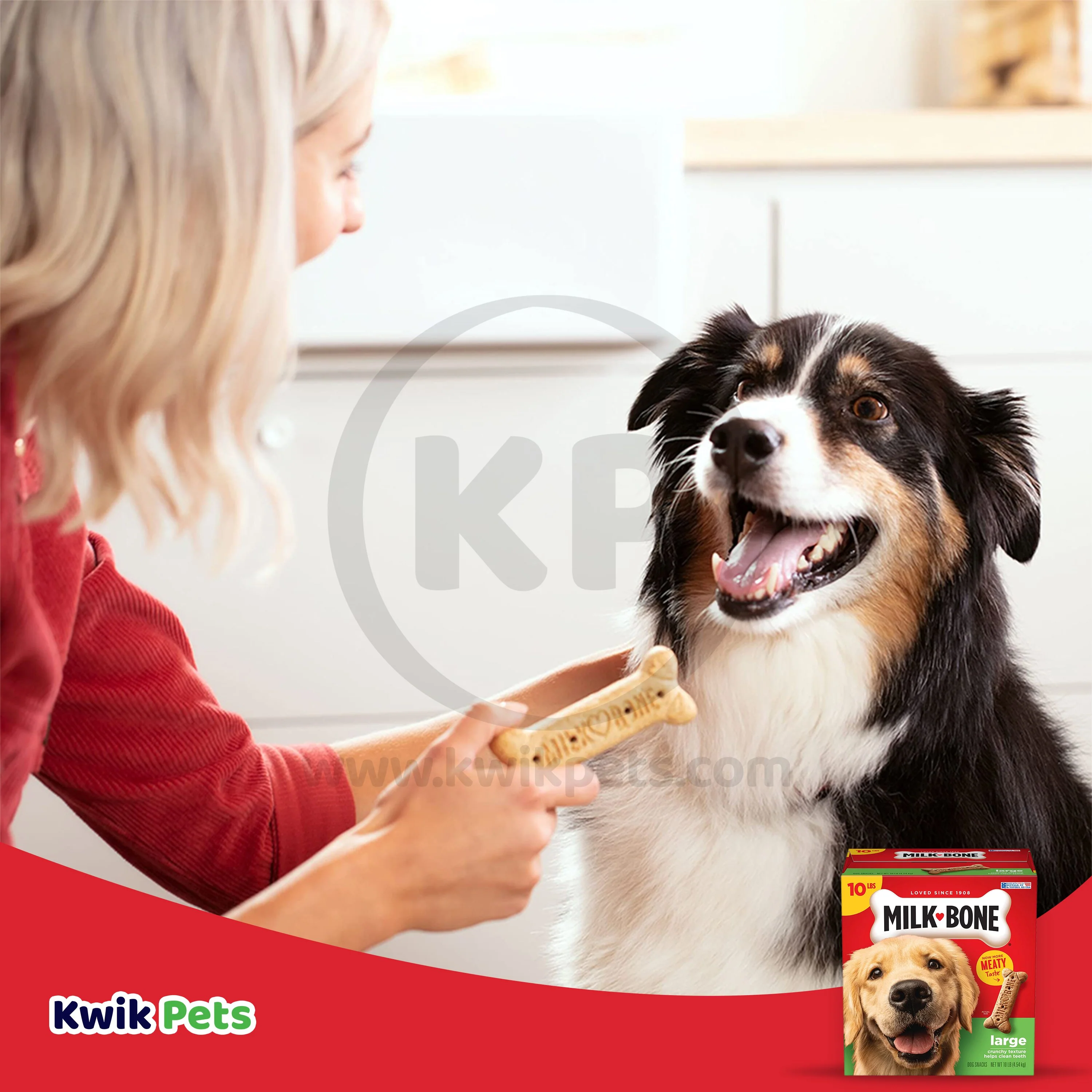 Milk-Bone Dog Biscuits Original Large 10-lb - Image 7