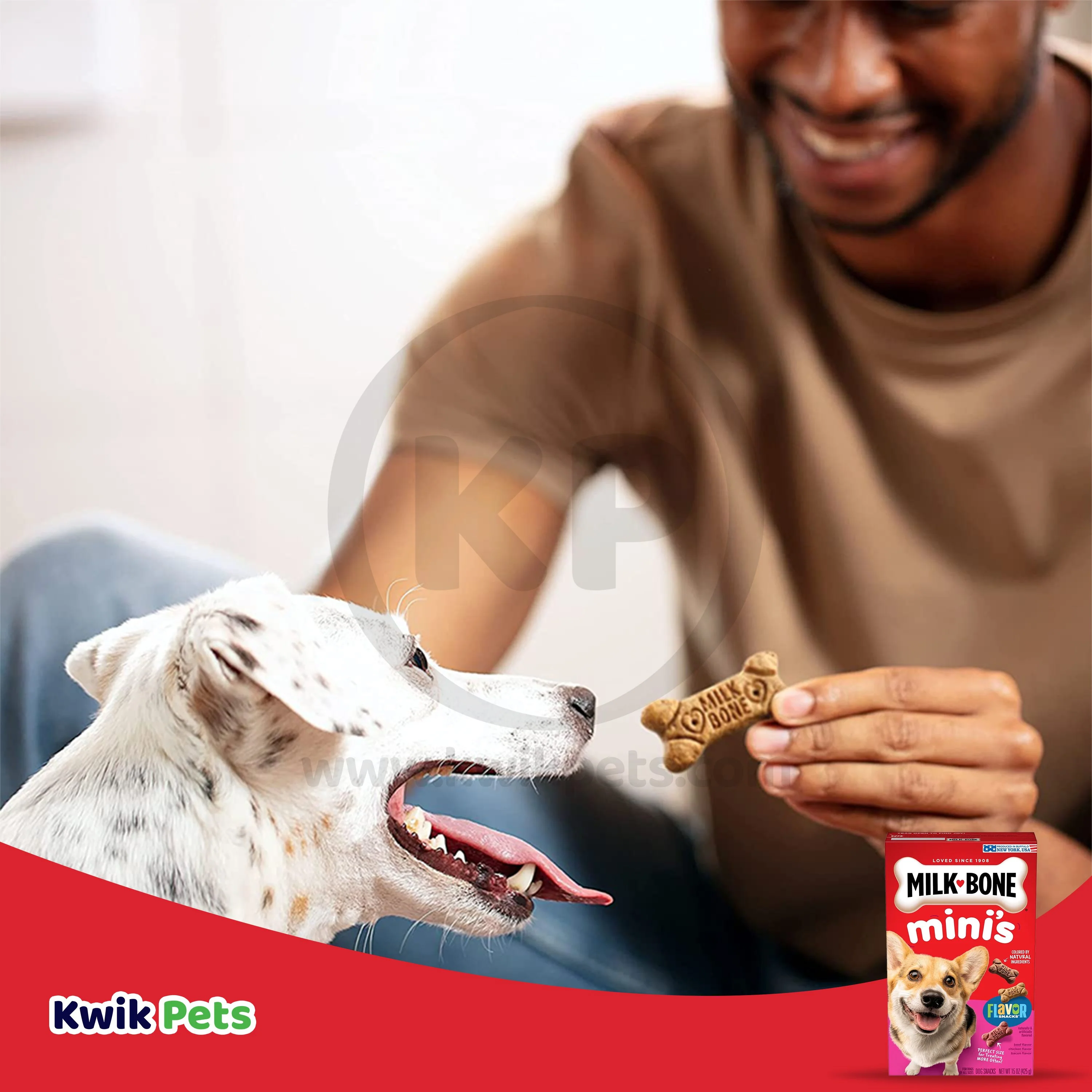 Milk-Bone Flavor Snacks Dog Treats Mini 15-oz - Image 7