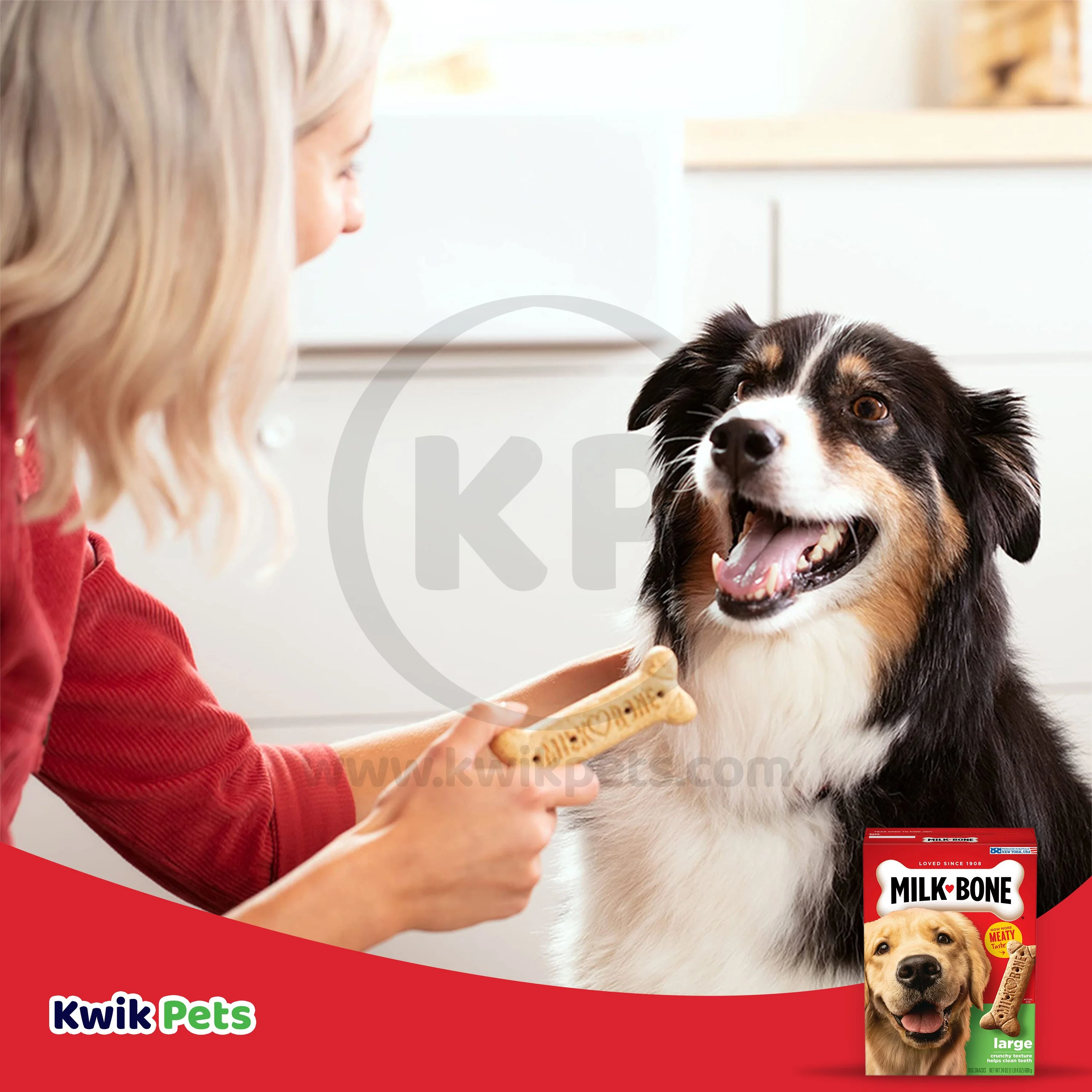Milk-Bone Dog Biscuits Original Large 24-oz - Image 7