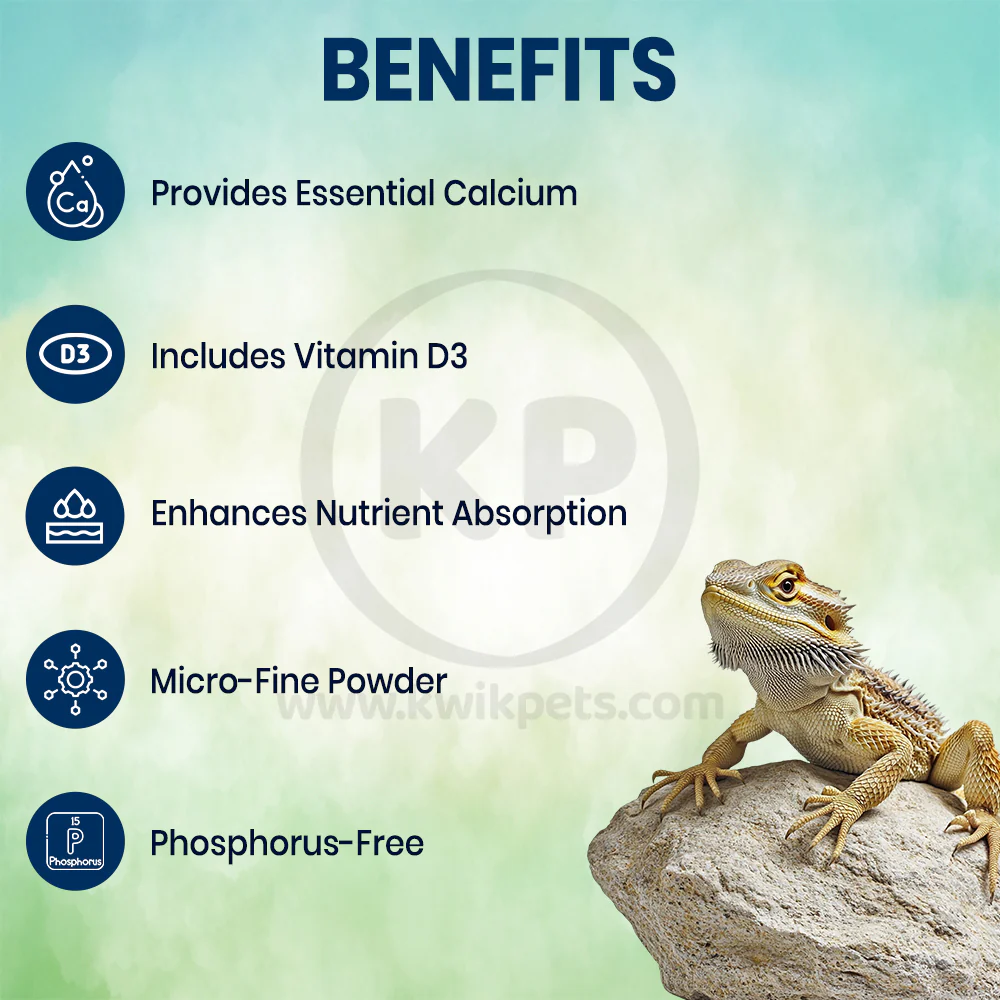 Miner-All Calcium & Mineral Supplement for Indoor Insectivorous Reptiles & Amphibians 6-oz - Image 4