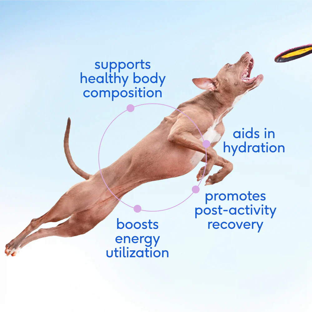 Native Pet Goat Milk Powder Recovery & Energy Support for Active Dogs 7-oz - Image 4