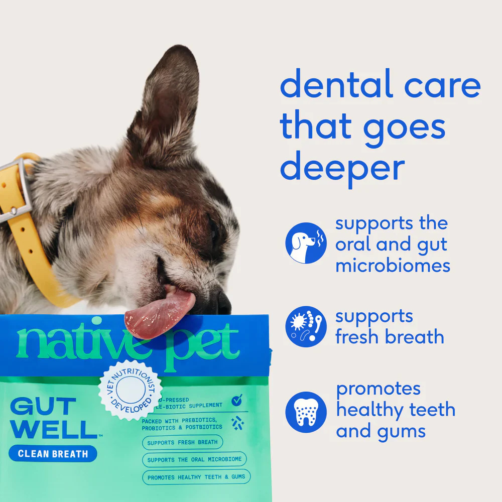 Native Pet Gutwell Clean Breath Dog Dental Care Supplement 12.7-oz - Image 4